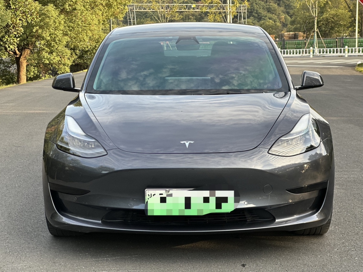 特斯拉 Model 3  2021款 標(biāo)準(zhǔn)續(xù)航后驅(qū)升級(jí)版 3D6圖片