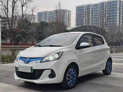 2018年3月 長安 奔奔EV EV260 標(biāo)準(zhǔn)型圖片