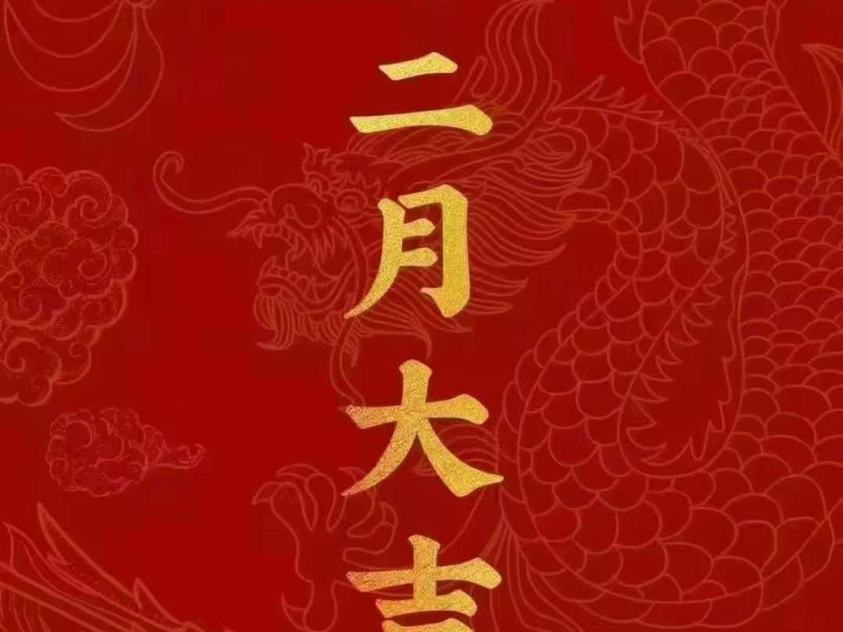 金杯 海獅  2016款 2.0L快運(yùn)系列標(biāo)準(zhǔn)型V19圖片