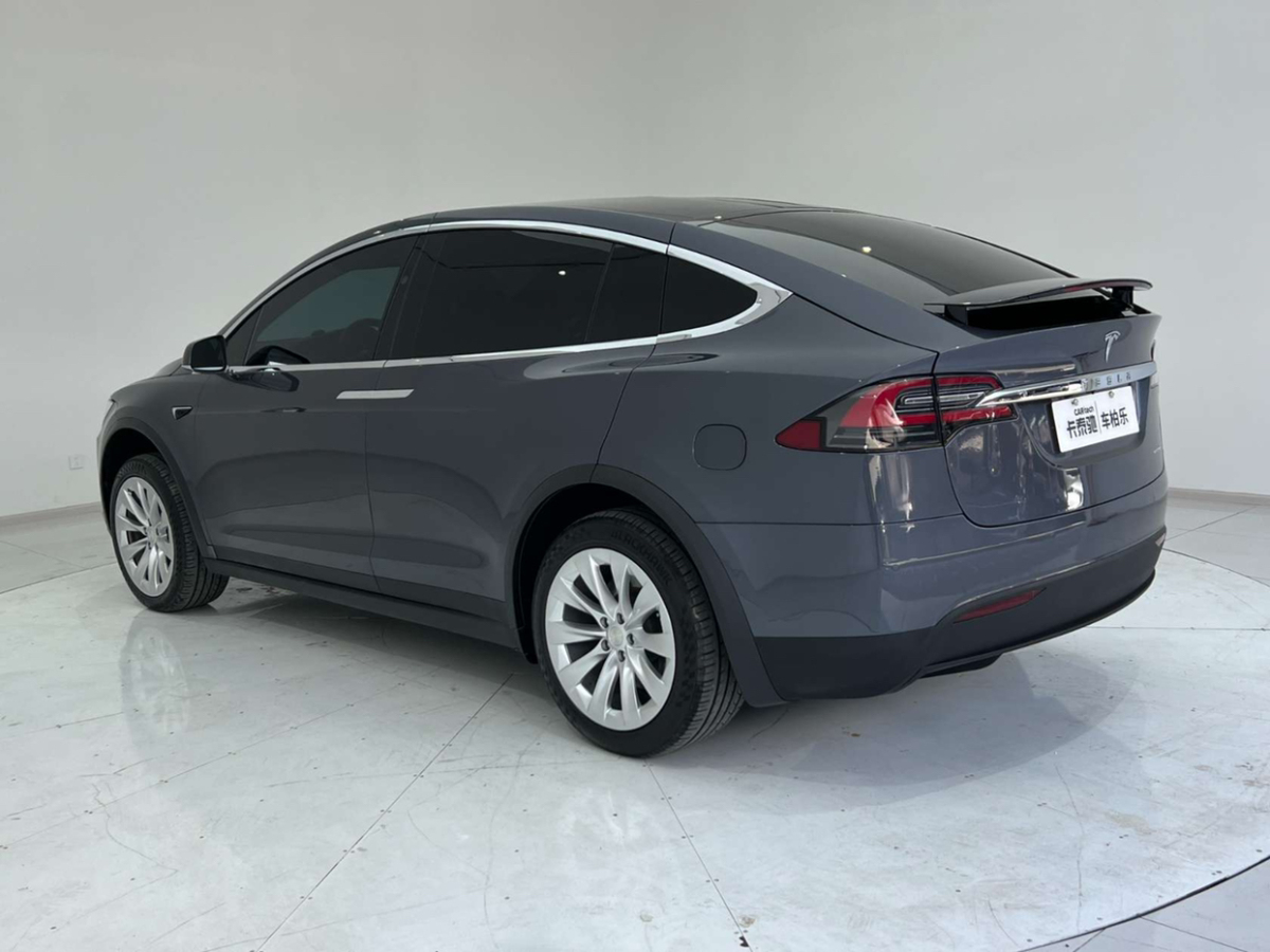 特斯拉 Model X  2020款 长续航升级版图片