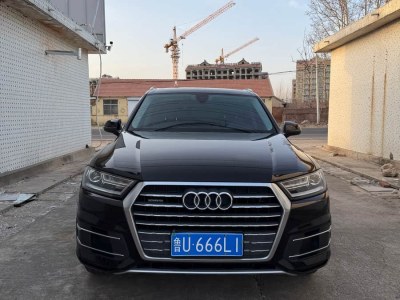 2018年1月 奧迪 奧迪Q7(進口) 45 TFSI 技術型圖片