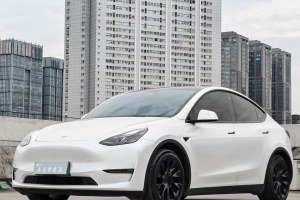 Model Y 特斯拉 標準續(xù)航后驅版