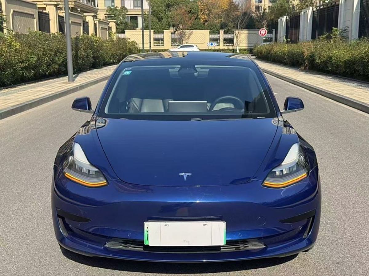 特斯拉 Model 3  2020款 改款 標準續(xù)航后驅升級版圖片