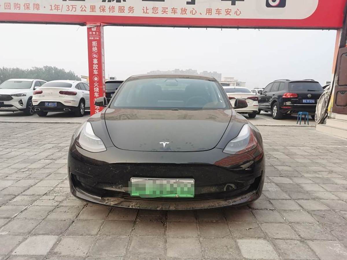 2021年3月特斯拉 Model Y  2021款 改款 標(biāo)準(zhǔn)續(xù)航后驅(qū)升級(jí)版