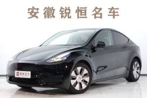 Model Y 特斯拉 后轮驱动版