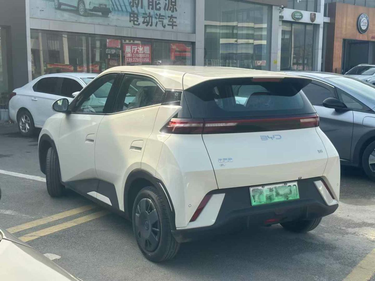 比亞迪 宋L DM-i  2024款 112km 超越型圖片