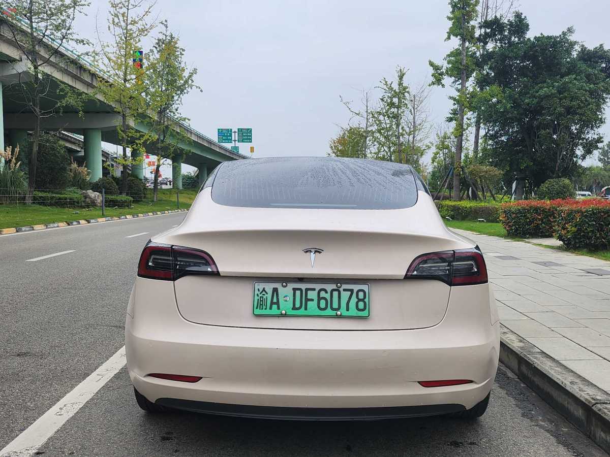 特斯拉 Model Y  2020款 改款 標準續(xù)航后驅(qū)升級版圖片