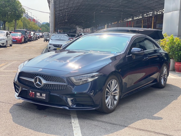 奔驰 奔驰CLS级  2020款 CLS 300 动感型