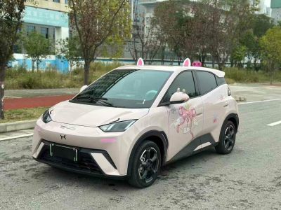 2024年6月 比亞迪 宋L 550km 卓越型圖片