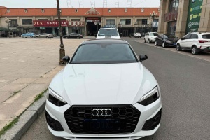奧迪A5 奧迪 Sportback 40 TFSI quattro 豪華動(dòng)感型