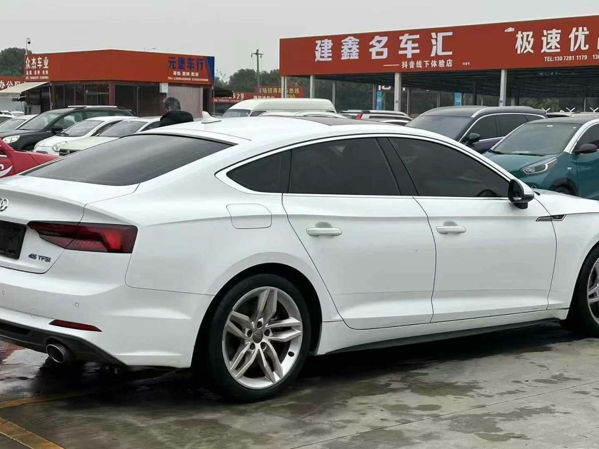 奧迪 奧迪Q5  2018款 典藏版 40 TFSI 技術(shù)型圖片