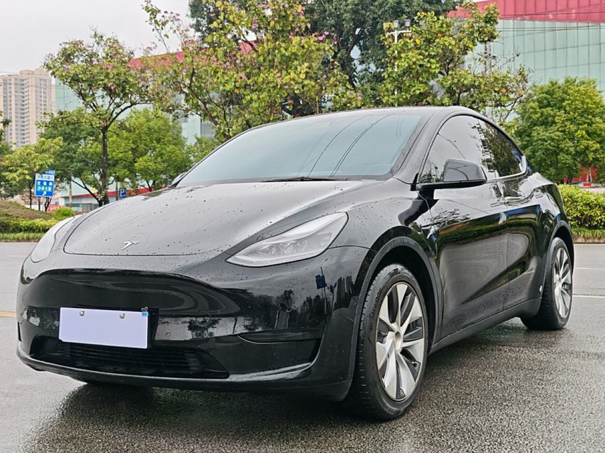 2022年3月特斯拉 Model 3  2022款 后輪驅(qū)動版