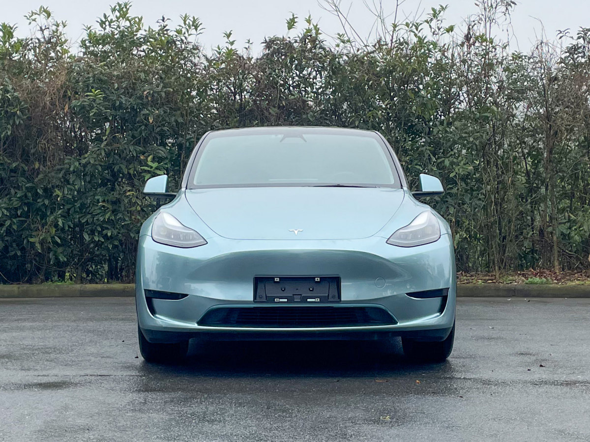 特斯拉 Model 3  2022款 后輪驅(qū)動版圖片