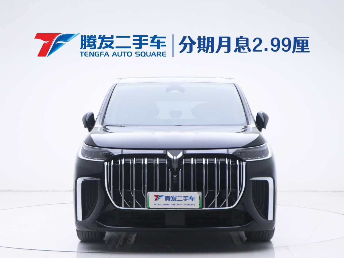 嵐圖 夢想家  2024款 PHEV 超長續(xù)航尊貴版圖片