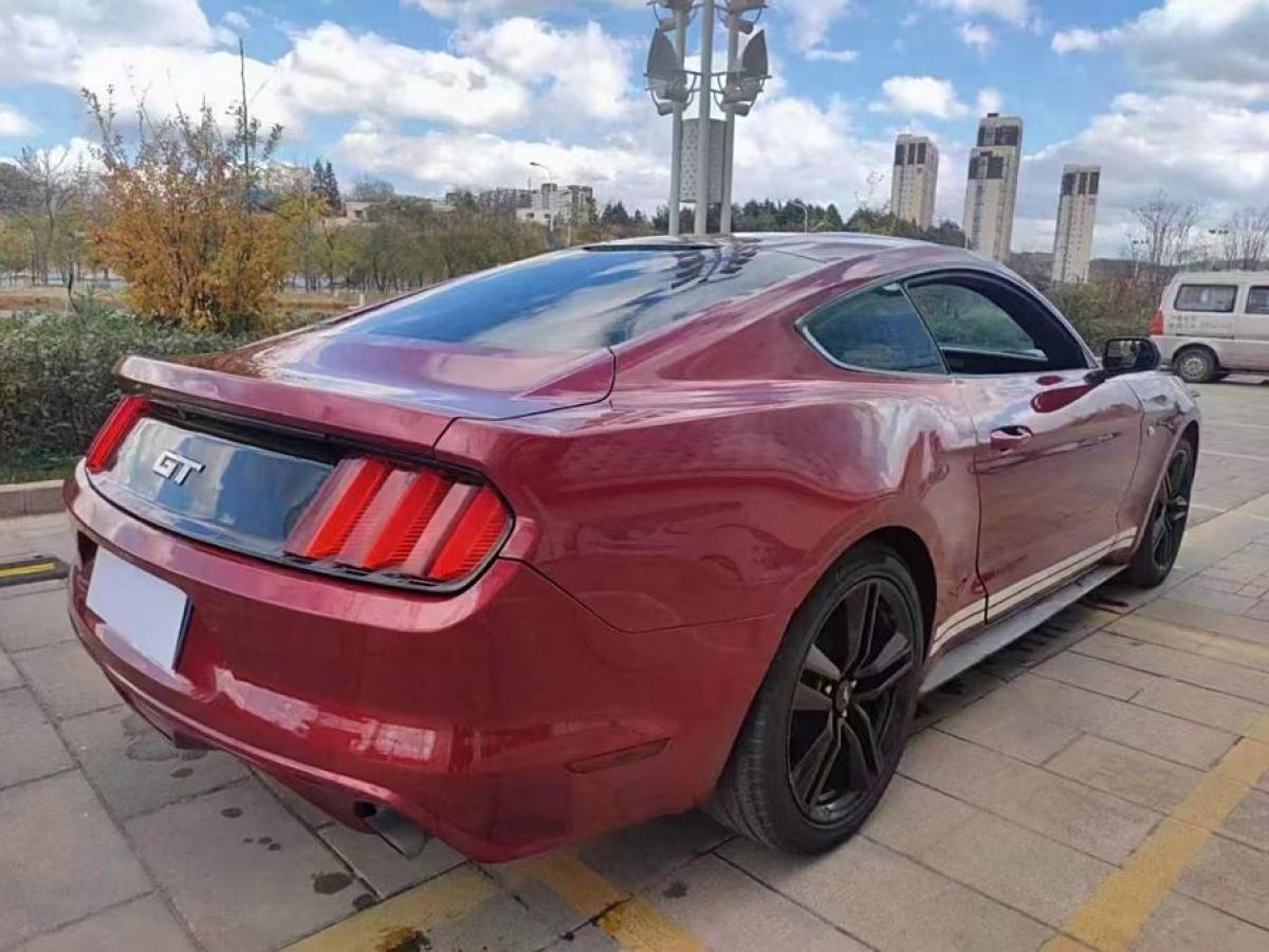 福特 Mustang  2015款 2.3T 50周年紀(jì)念版圖片