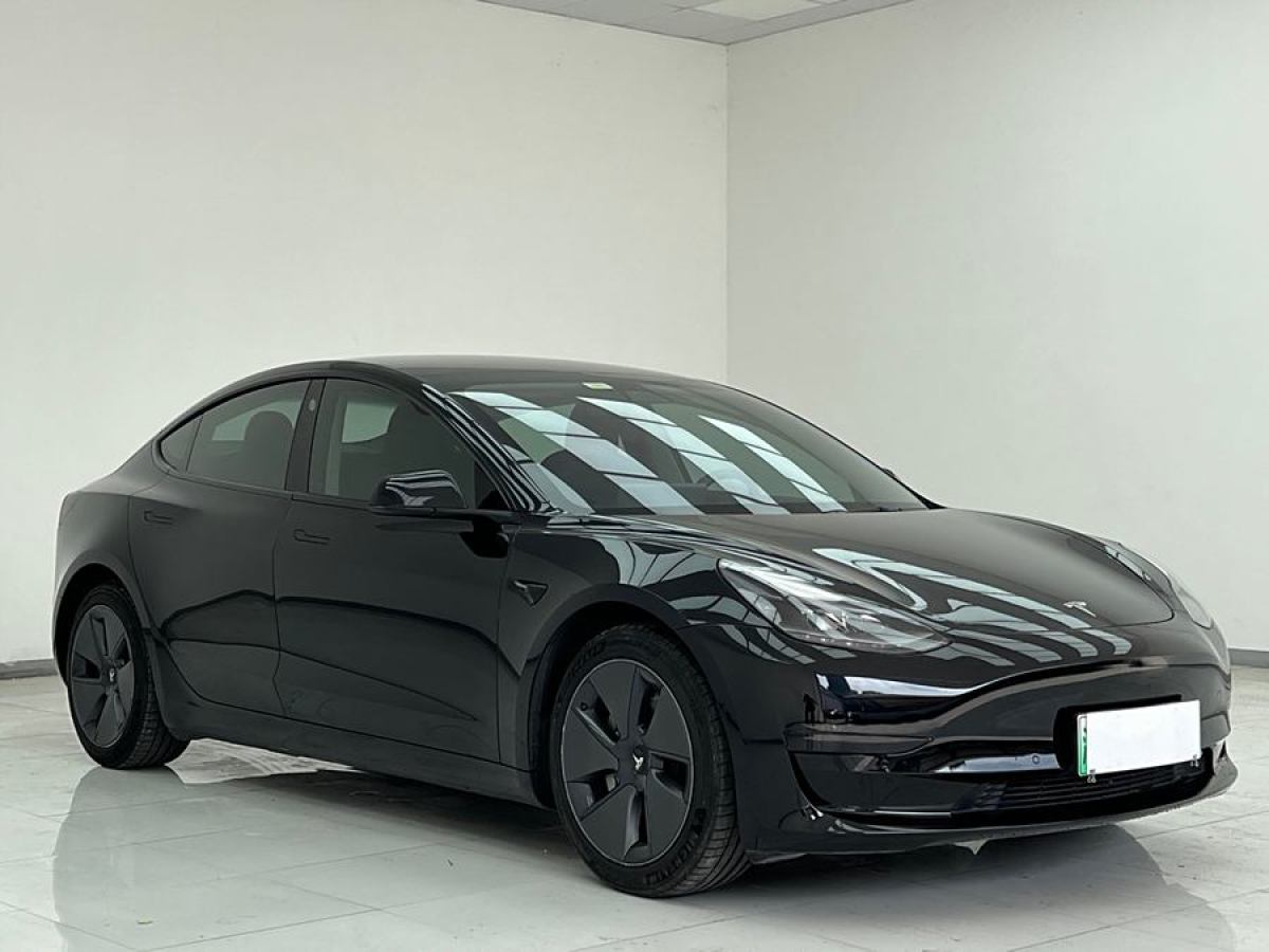 特斯拉 Model Y  2021款 改款 標(biāo)準(zhǔn)續(xù)航后驅(qū)升級版圖片