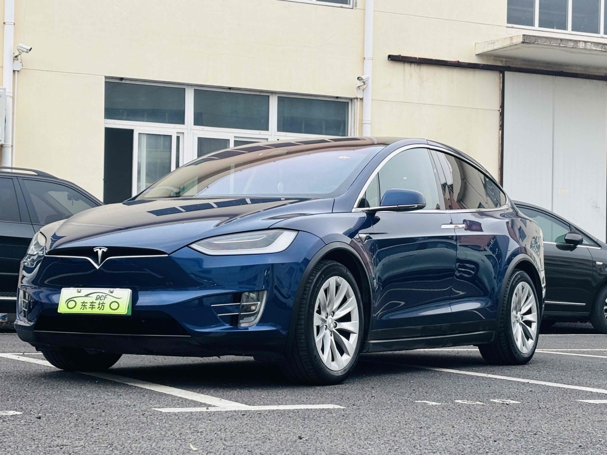 特斯拉 Model X  2017款 Model X 100D 長(zhǎng)續(xù)航版圖片