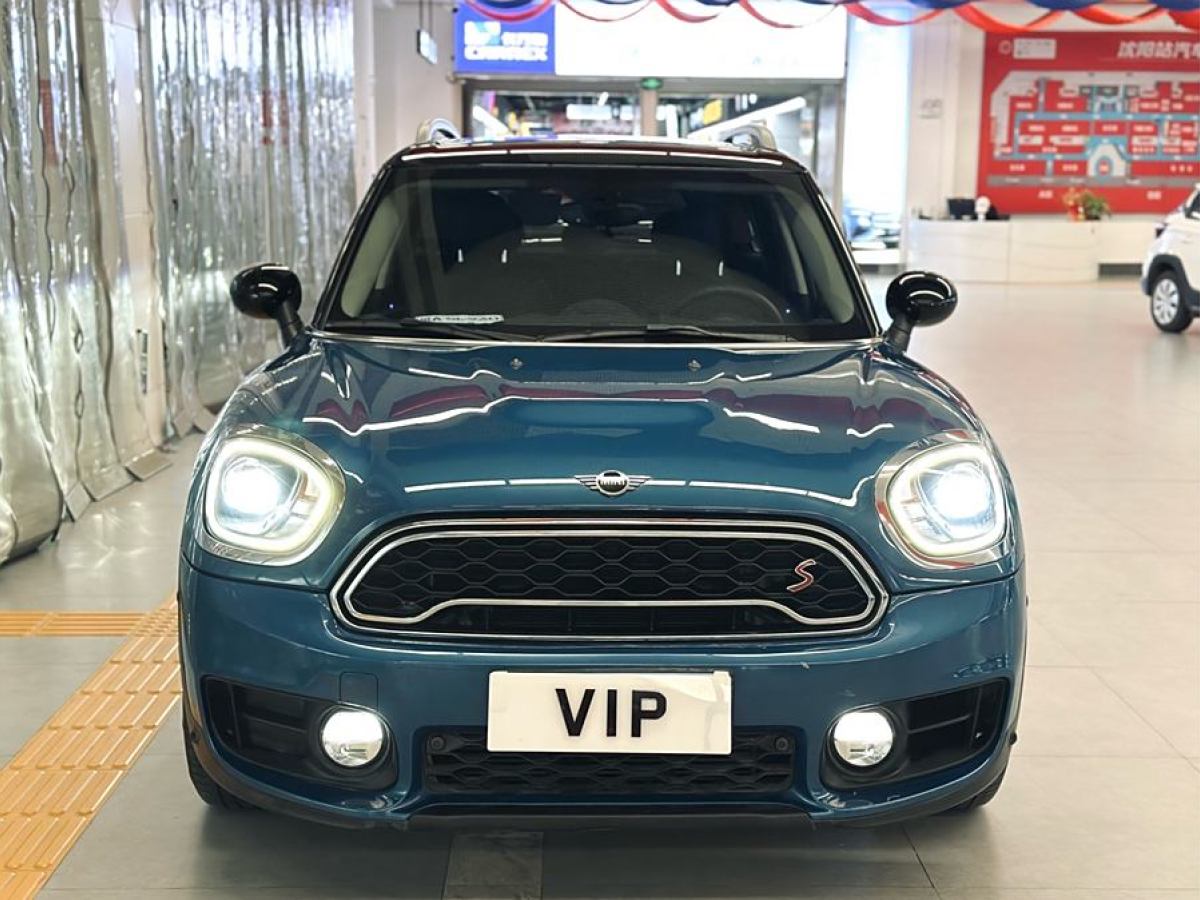 MINI COUNTRYMAN  2019款 2.0T COOPER S ALL4 藝術家圖片