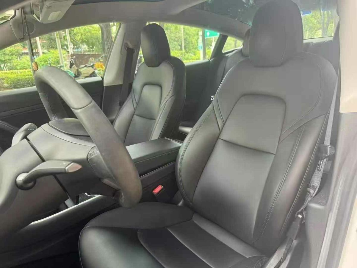 特斯拉 Model X  2020款 Performance 高性能版圖片