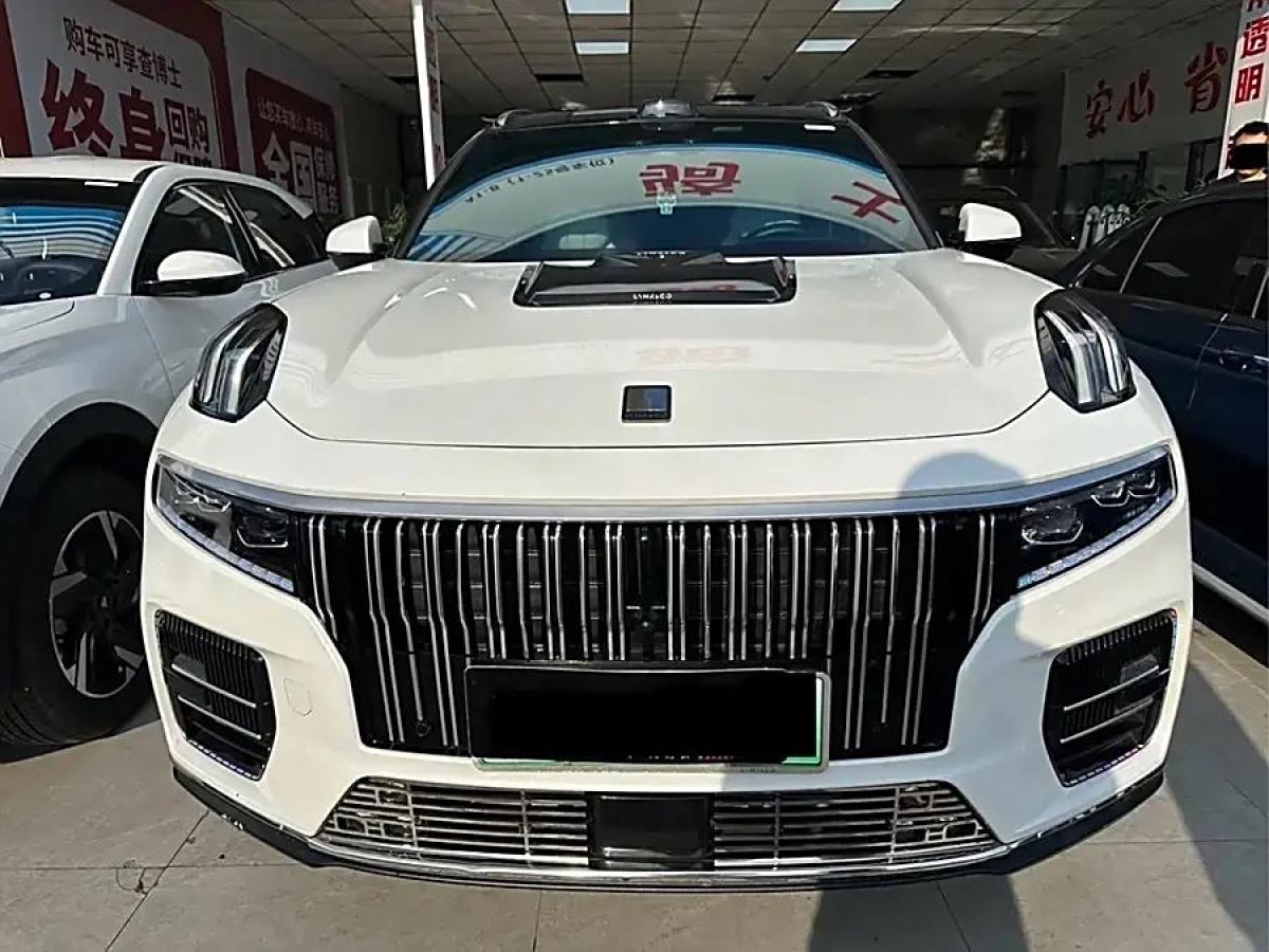 領(lǐng)克 領(lǐng)克09新能源  2021款 2.0T PHEV Halo 六座圖片