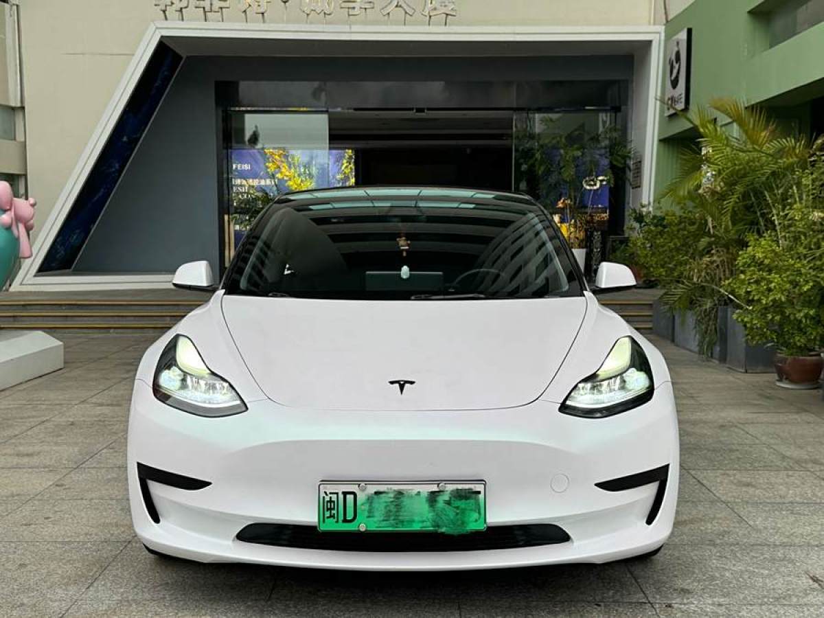 特斯拉 Model 3  2021款 改款 標(biāo)準(zhǔn)續(xù)航后驅(qū)升級(jí)版圖片