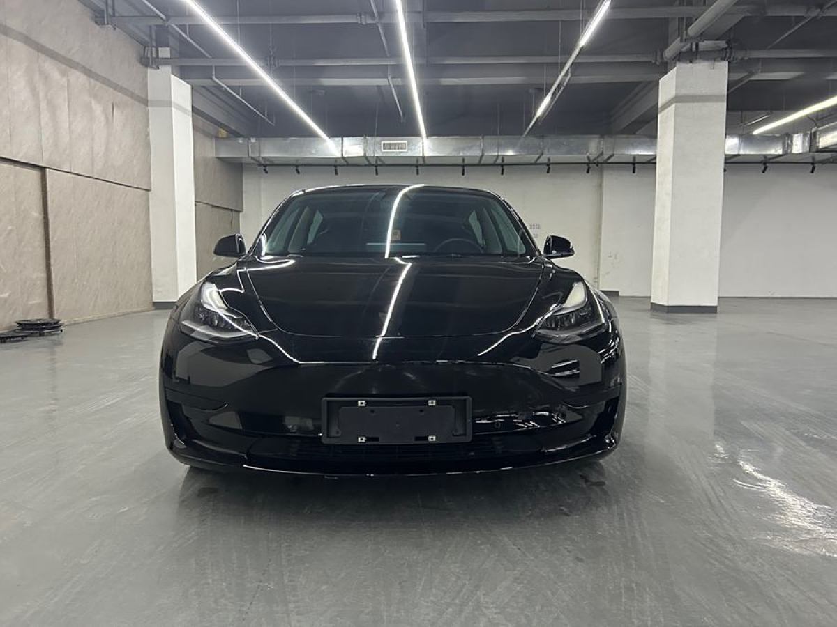 特斯拉 Model 3  2021款 標(biāo)準(zhǔn)續(xù)航后驅(qū)升級版 3D6圖片