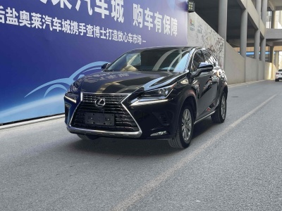 2019年1月 雷克薩斯 NX 300 前驅(qū) 鋒行版圖片