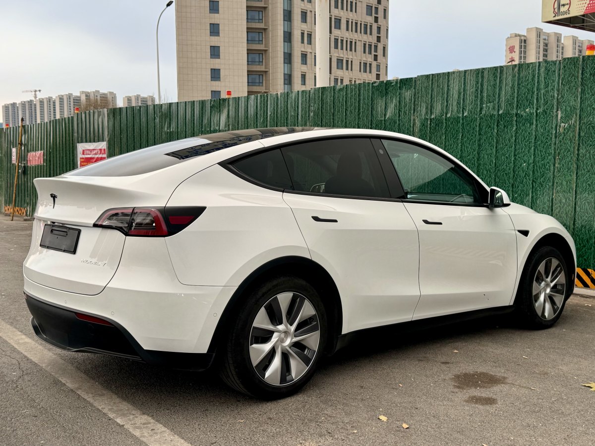 特斯拉 Model 3  2020款 改款 長續(xù)航后輪驅(qū)動版圖片