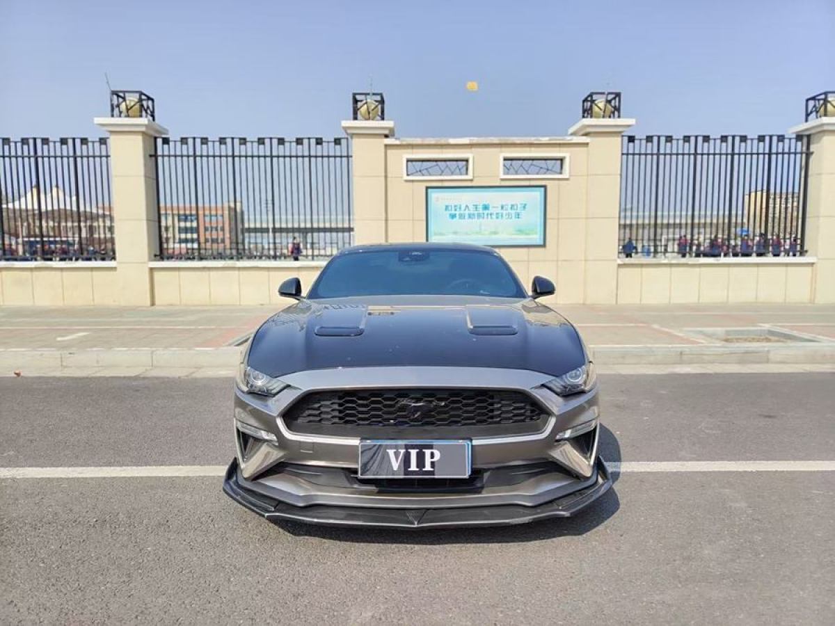 福特 Mustang  2021款 2.3L EcoBoost圖片