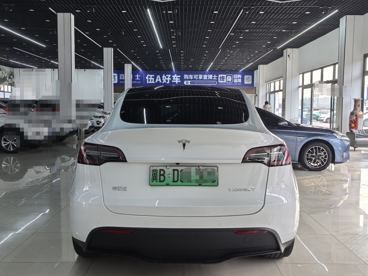 特斯拉 Model 3  2020款 改款 長續(xù)航后輪驅(qū)動版圖片