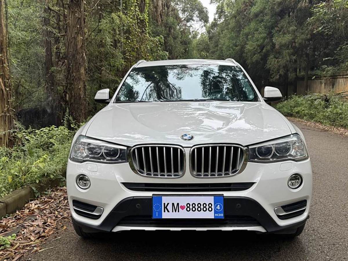 寶馬 寶馬X3  2014款 xDrive20i X設(shè)計(jì)套裝圖片