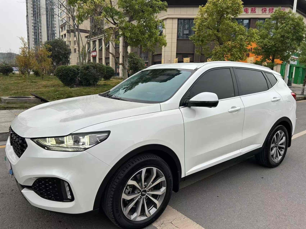 WEY VV6  2019款  2.0T 兩驅(qū)超豪型 國(guó)VI圖片