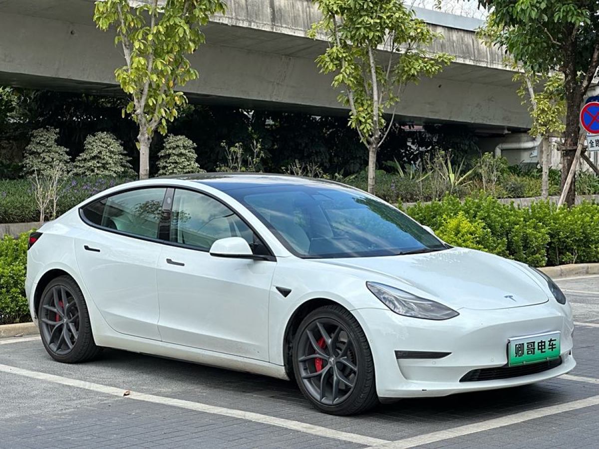 2021年9月特斯拉 Model 3  2021款 Performance高性能全輪驅(qū)動版