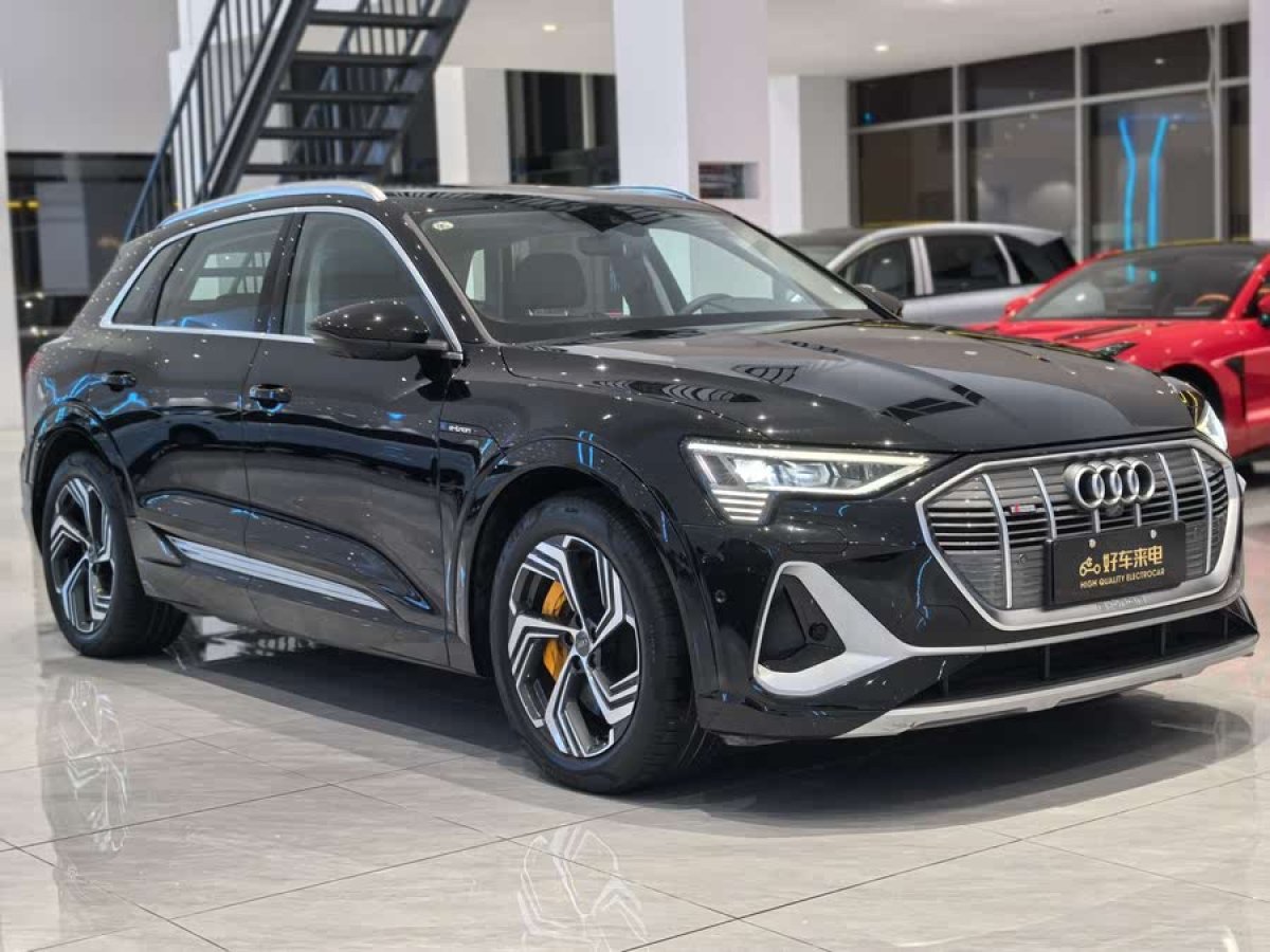 奧迪 奧迪e-tron  2021款 50 quattro 臻選型圖片