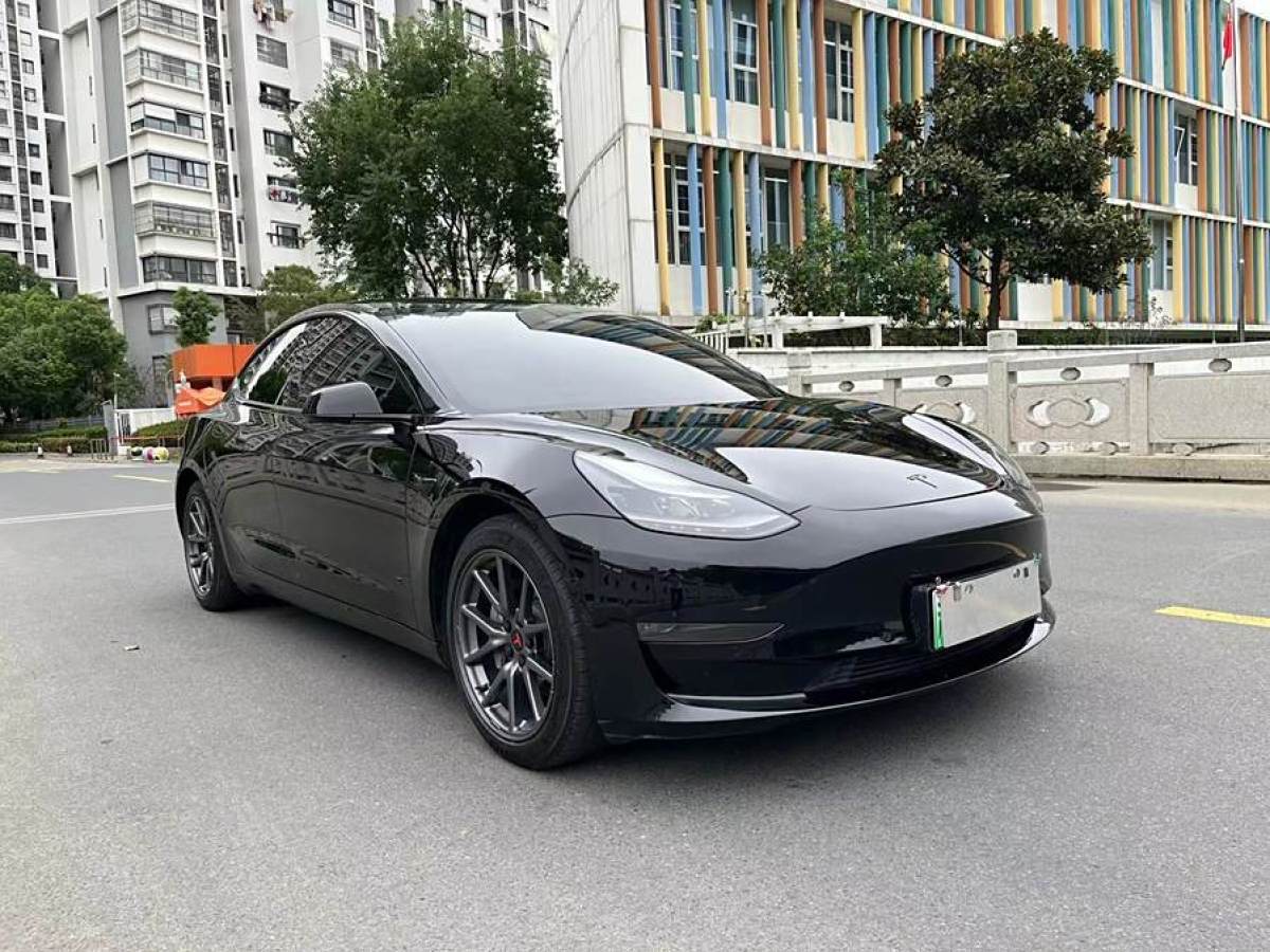 2020年12月特斯拉 Model Y  2020款 改款 長(zhǎng)續(xù)航后輪驅(qū)動(dòng)版