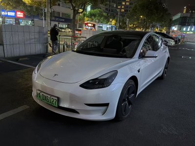 2021年5月 特斯拉 Model 3 標(biāo)準(zhǔn)續(xù)航后驅(qū)升級(jí)版 3D6圖片