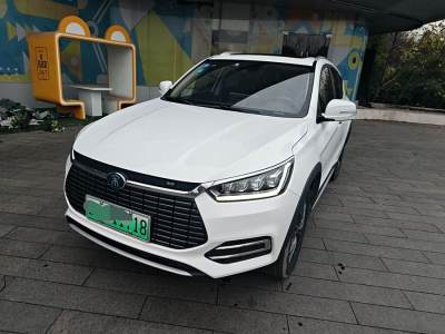 2019年2月 比亞迪 宋新能源 宋EV500 智聯(lián)領(lǐng)動(dòng)型圖片