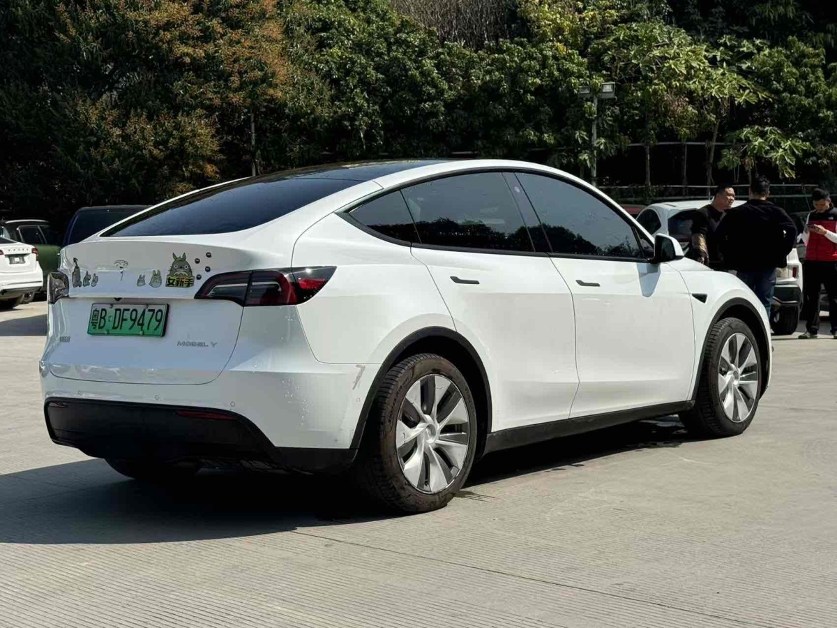 特斯拉 Model 3  2022款 后輪驅(qū)動版圖片