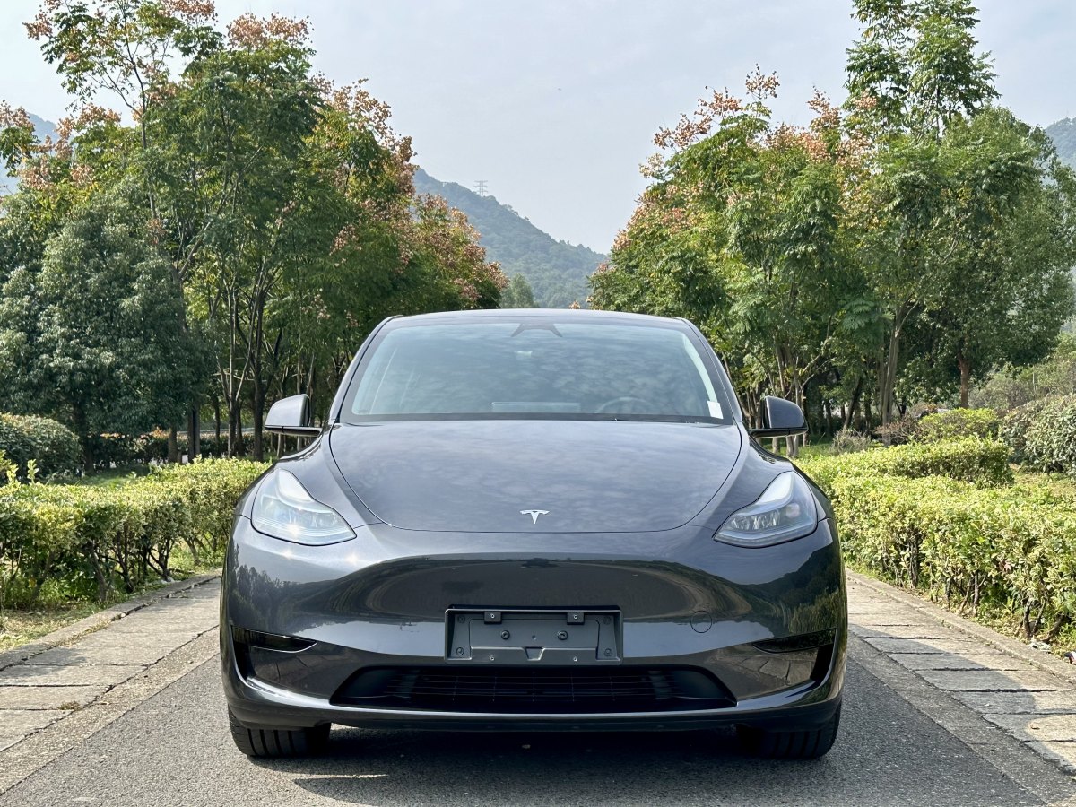 特斯拉 Model Y  2020款 改款 長續(xù)航后輪驅(qū)動版圖片