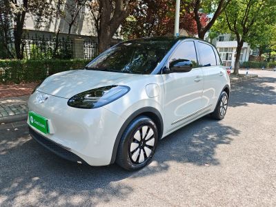 2024年6月 五菱 五菱繽果 333km 靈犀互聯(lián)款圖片