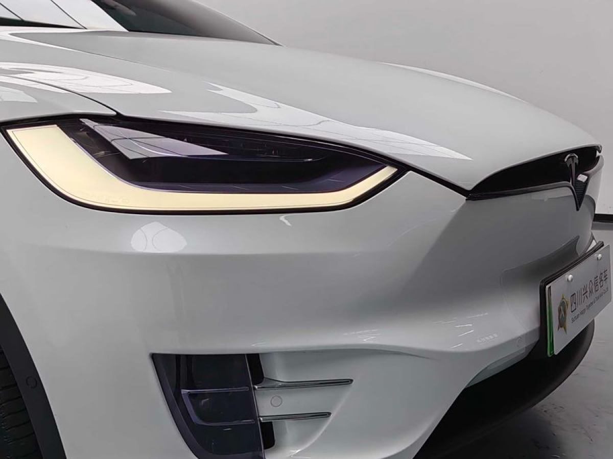 特斯拉 Model X  2019款 長續(xù)航版圖片