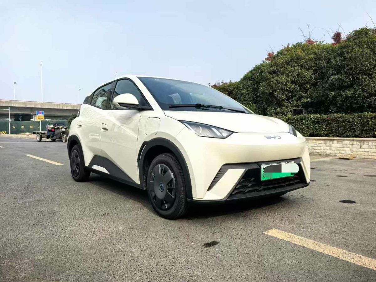 比亞迪 宋L DM-i  2024款 112km 超越型圖片