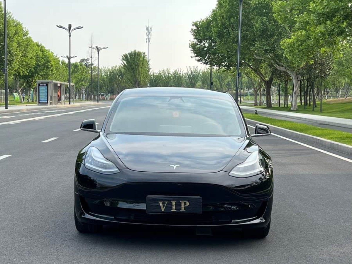 特斯拉 Model 3  2019款 標(biāo)準(zhǔn)續(xù)航后驅(qū)升級(jí)版圖片