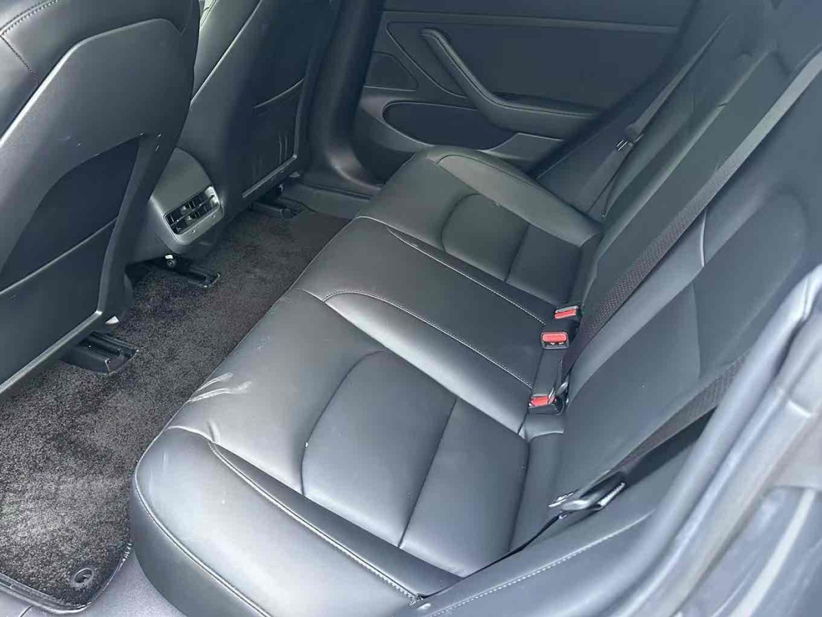 特斯拉 Model 3  2020款 改款 標(biāo)準(zhǔn)續(xù)航后驅(qū)升級(jí)版圖片