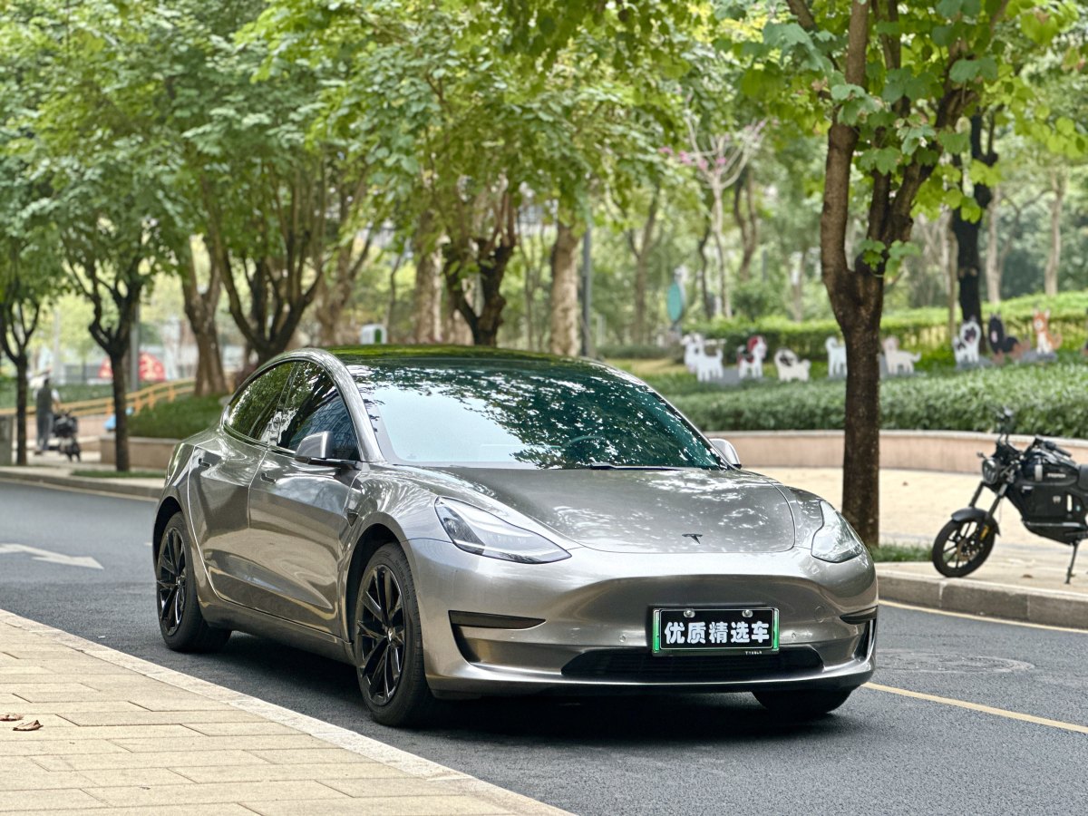 特斯拉 Model 3  2019款 標(biāo)準(zhǔn)續(xù)航后驅(qū)升級(jí)版圖片