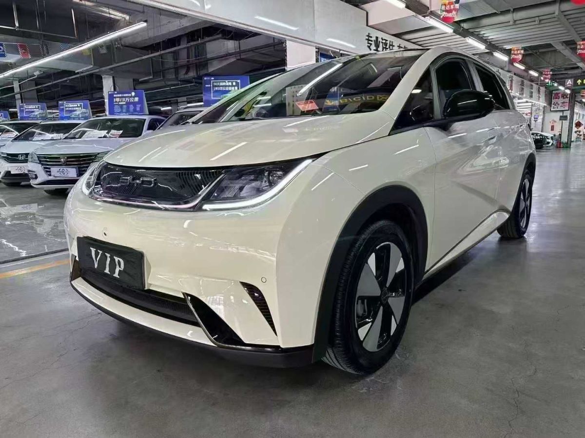 比亞迪 海豚  2023款 401km 騎士版圖片