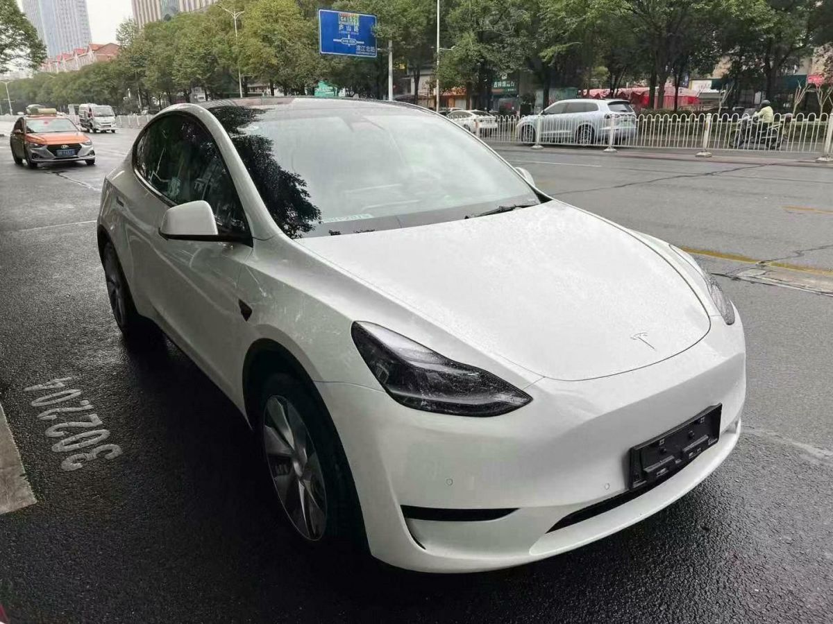 特斯拉 Model 3  2022款 Performance高性能全輪驅(qū)動版圖片