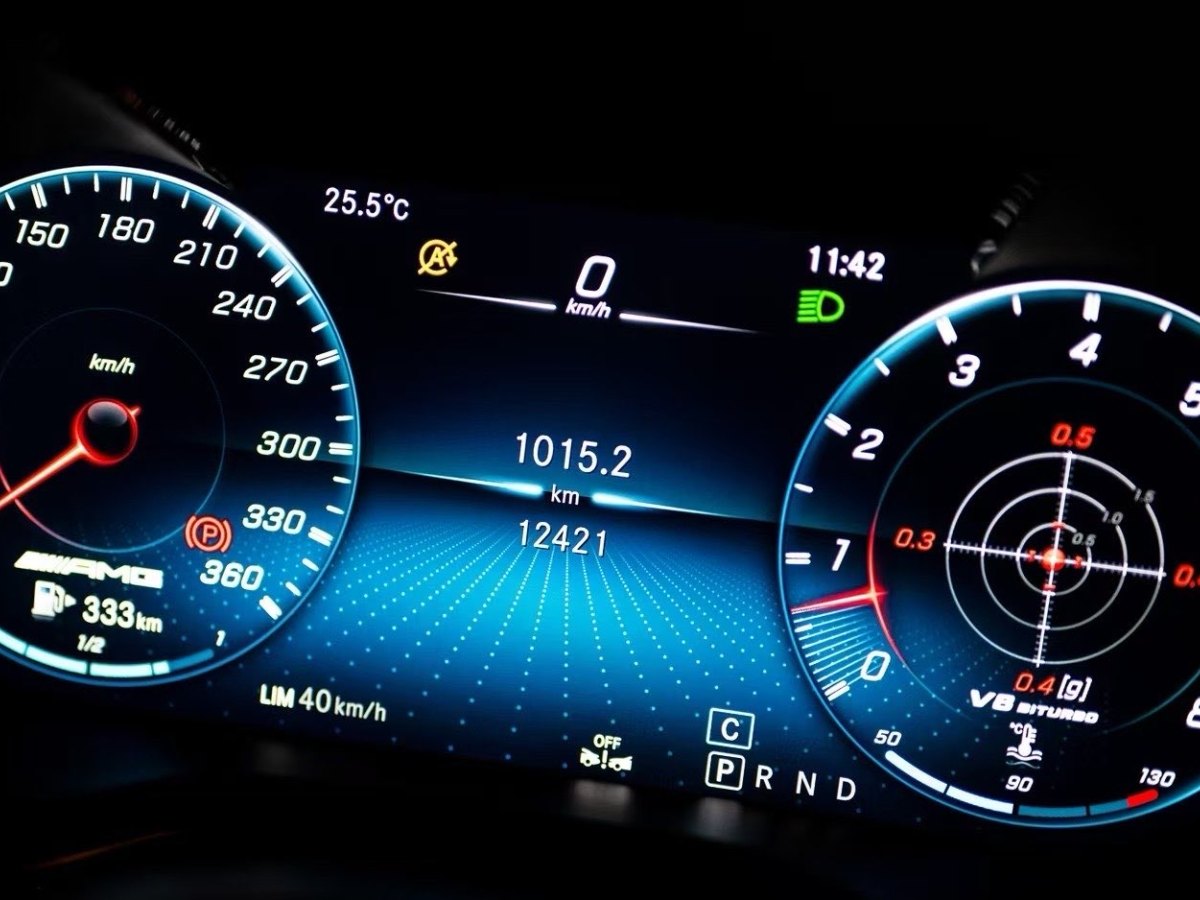 奔馳 奔馳AMG GT  2019款 AMG GT R PRO圖片