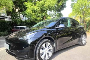 Model Y 特斯拉 改款 后輪驅(qū)動版