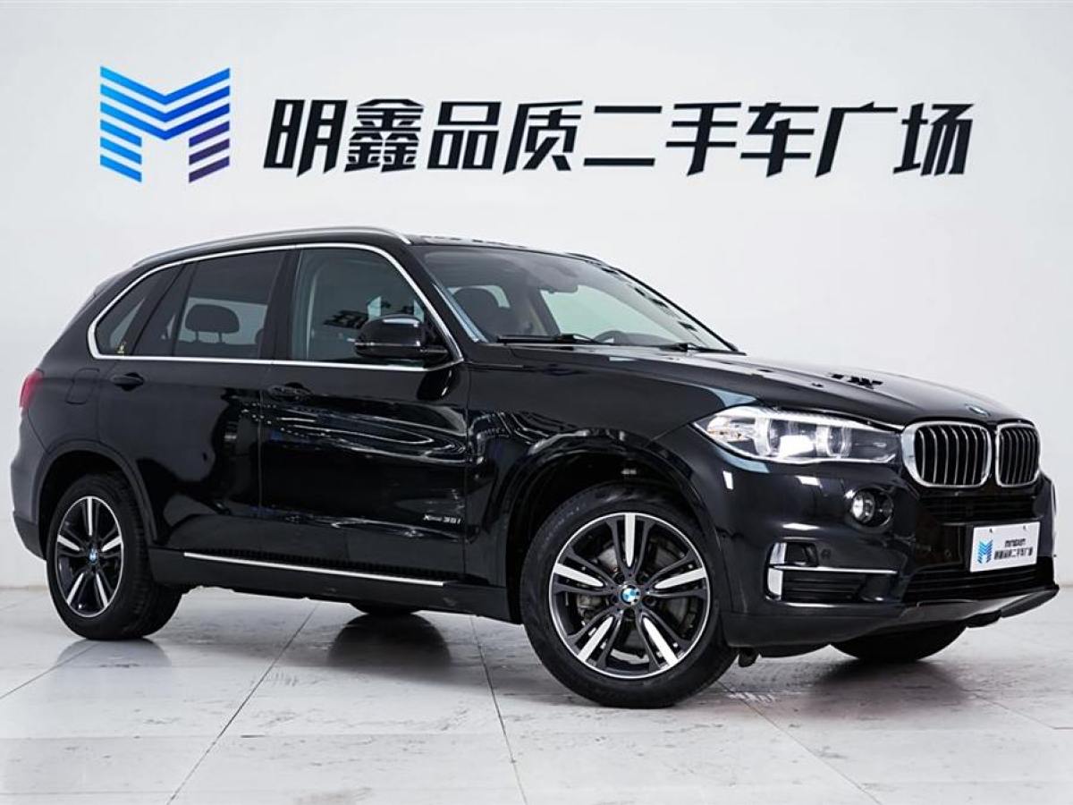 寶馬 寶馬X5  2018款 xDrive35i 典雅型圖片